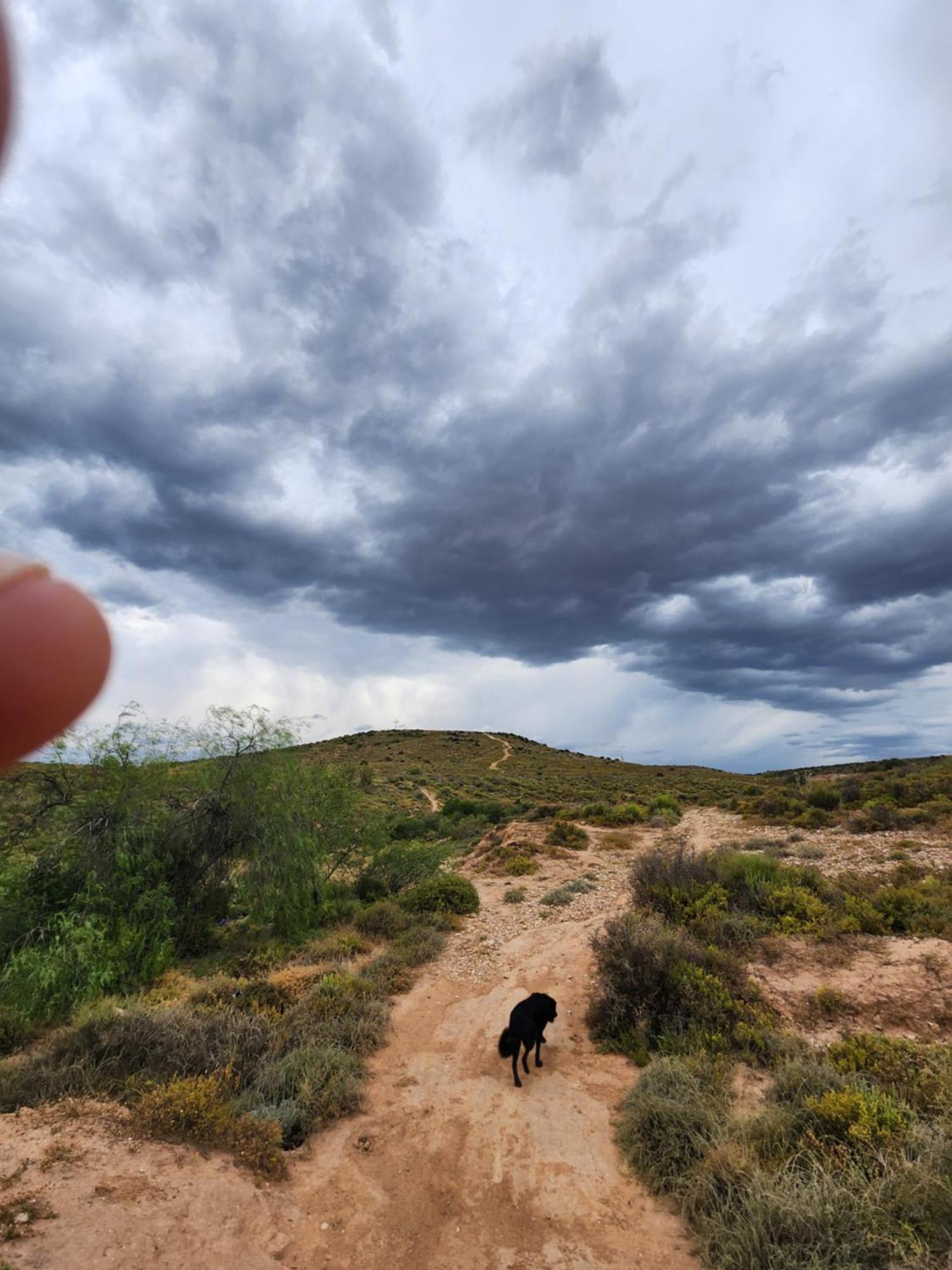 Uthando Backpackers Lodge Oudtshoorn Bagian luar foto